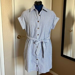 Striped Shirt Dress